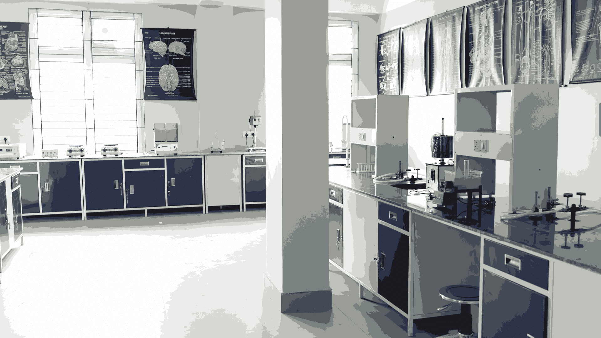 Pragjyotishpur University Guwahati Pharmacology lab photo 10